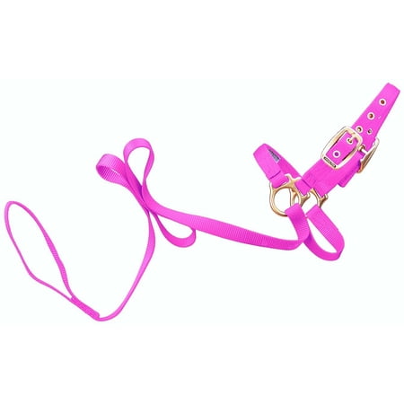 Hamilton Halter Livestock Sheep With Lead Adjustable Chin...