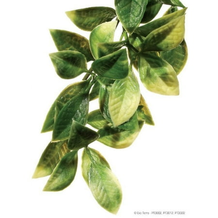 Exo Terra Plastic Plant - Medium Mandarin - Terrarium Decor - PT3012