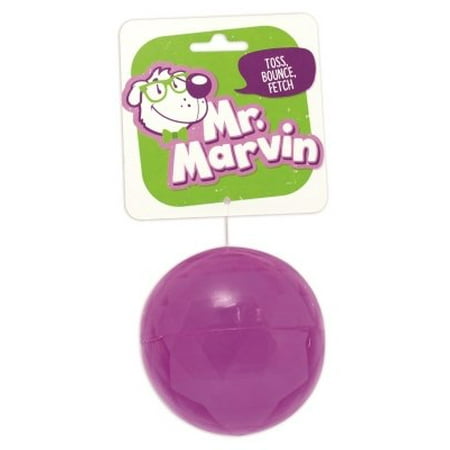 Four Paws Mr. Marvin Bounce Fetch Ball - Dog Toy for Toss, Fetch, and Play