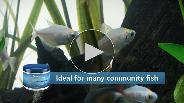 Aqueon Pro Community Formula Fish Food - 3.5 oz / 4.3 oz Canister