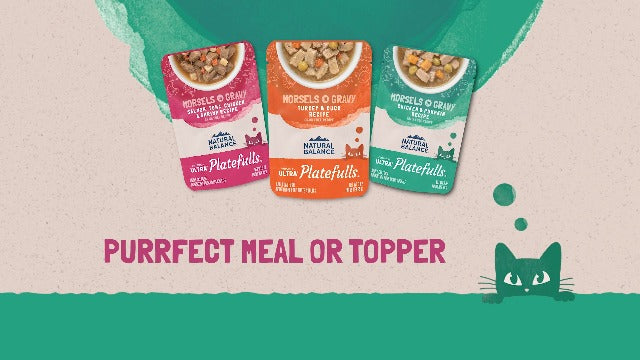 Natural Balance Platefulls Indoor Cat Food, Duck, Chicken & Pumpkin in Gravy, 3 oz Pouch