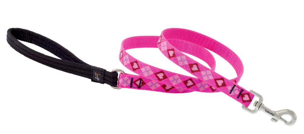 Lupine Pet Puppy Love Dog Leash - 3/4 Inch x 6 Foot - Nylon, Multicolor
