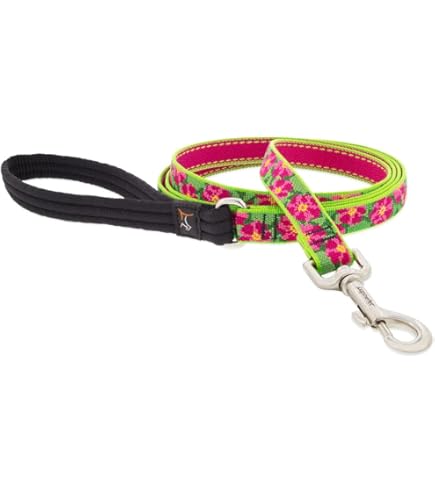 LupinePet Originals 3/4" Turtle Reef 6-Foot Padded Dog Leash - Medium/Large Dogs