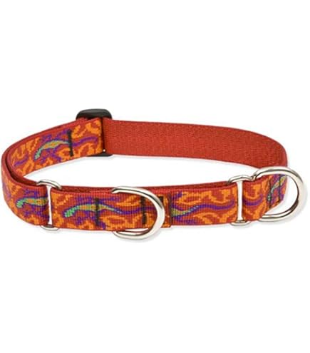 LupinePet Go Go Gecko Dog Collar - Adjustable, 1" Wide, 12-20"