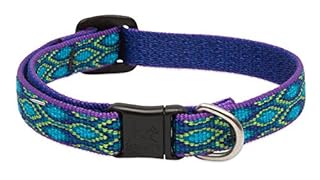 LupinePet Originals Rain Song Cat Safety Collar 1/2" Wide, Adjustable 8-12"