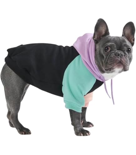 Zack & Zoey Basic Dog Hoodie, XL, Ultra Violet - Polyester/Cotton Blend