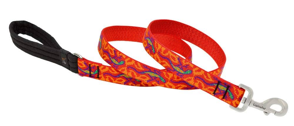LupinePet Originals 1" Go Go Gecko Dog Leash - 6 Foot Padded Handle