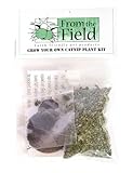 From The Field Grow Your Own Catnip Plant Kit - Organic Catnip Seeds for Cats - USA Made