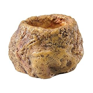 Exo Terra Snake Bowl - Reptile Water Dish - Natural Rock Finish