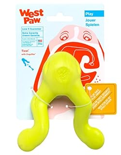 West Paw Zogoflex Tizzi Dog Toy, Green, 4.5 inch, Treat Dispensing, Interactive Play, Floatable