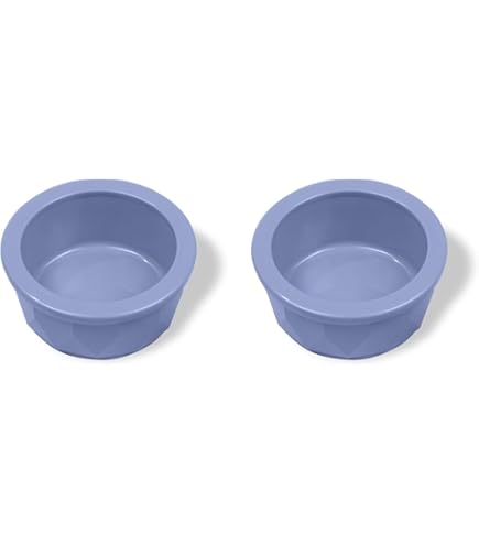 Petmate Ultra Lightweight Dog/Cat Bowl, 1 Cup Small Plastic Dish
