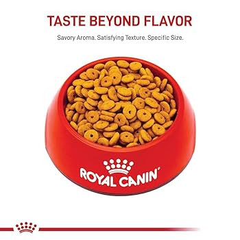 Royal Canin Weight Care Adult Dry Cat Food, 14 lb Bag