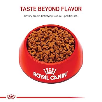 Royal Canin Feline Health Nutrition Sensitive Digestion Dry Cat Food, 7 lb Bag