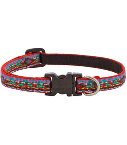 LupinePet Originals 1/2" Rose Garden Dog Collar, Adjustable 6-9", Extra Small