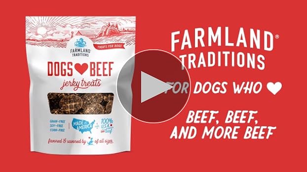 Farmland Traditions Turkey & Sweet Potato Jerky Dog Treats, 6 oz