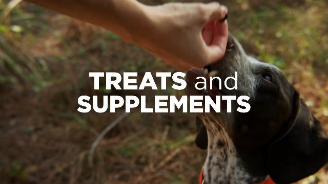 Diggin' Your Dog Buba Chew Large Water Buffalo Horn - Natural Dog Chew Treat, Grass-Fed & Free-Range