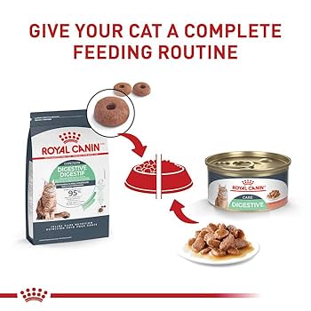 Royal Canin Digestive Care Dry Cat Food, 6 lb Bag
