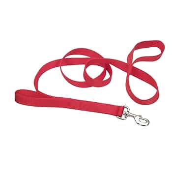 Coastal Loops 2 Double Handle Dog Leash, Red, 1" x 6' Nylon Lead