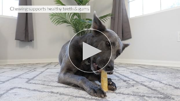 Ethical Pet Nothin' to Hide Dog Chews - Peanut Butter Rolls, 5 inch, 2-Pack - Highly Digestible Rawhide Alternative