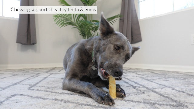 Fieldcrest Farms Nothin' to Hide Bacon Roll Dog Treat - 10 inch, Large, Rawhide Alternative