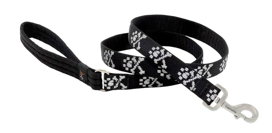 LupinePet Originals Bling Bonz Dog Leash - 1 inch x 6 ft - Padded Handle