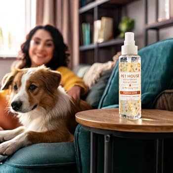Pet House Pumpkin Spice Room Spray - 4 oz Odor Eliminator