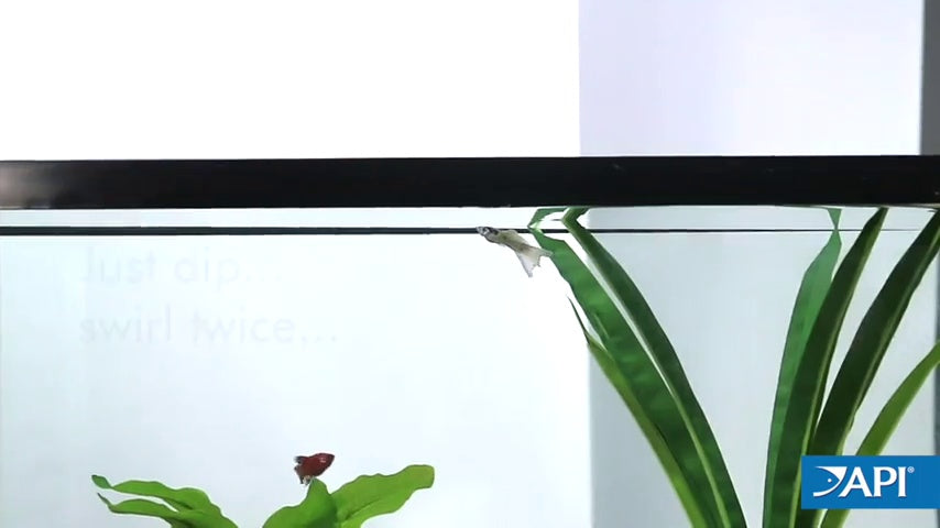 API 5 in 1 Aquarium Test Strips - 100 Strips