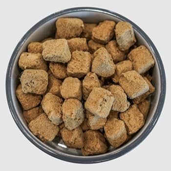 Steve's Real Food Freeze Dried Chicken Dog & Cat Food Nuggets, 1.25 lb / 20 oz Raw Diet