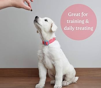Exclusively Pet Sausage Bits Flavored Training Treats, 7 Oz - Chewy Dog Treats, Grain Free