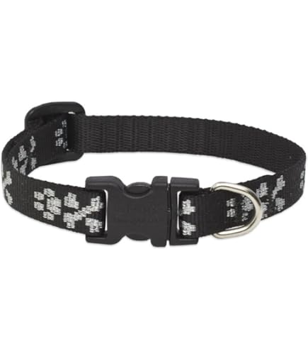 LupinePet Originals Bling Bonz Dog Collar 3/4 inch, Adjusts 9-14"