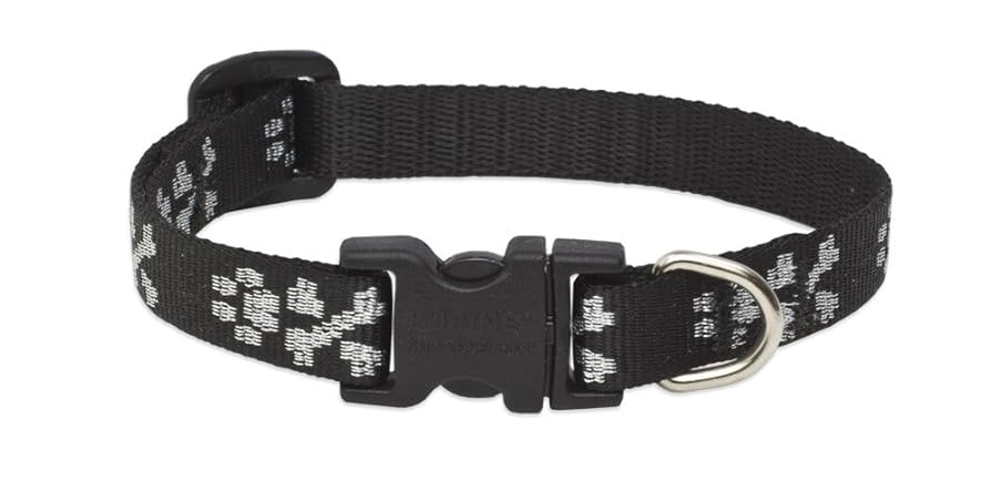 LupinePet Originals 1/2" Bling Bonz 6-9" Adjustable Dog Collar - Extra Small Dogs