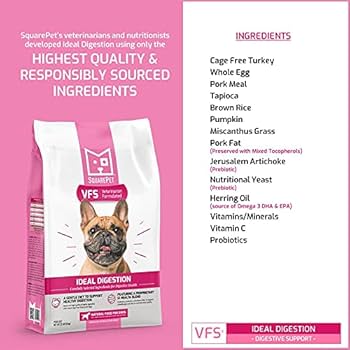 SquarePet VFS Ideal Digestion Dog Food - Turkey, Egg, Pumpkin, Brown Rice - 10kg/22lb