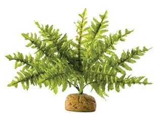 Exo Terra Small Boston Fern - Rainforest Terrarium Plant PT2990