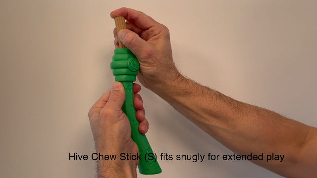 Project Hive Fetch Stick Dog Toy - Tropical Coconut Scented