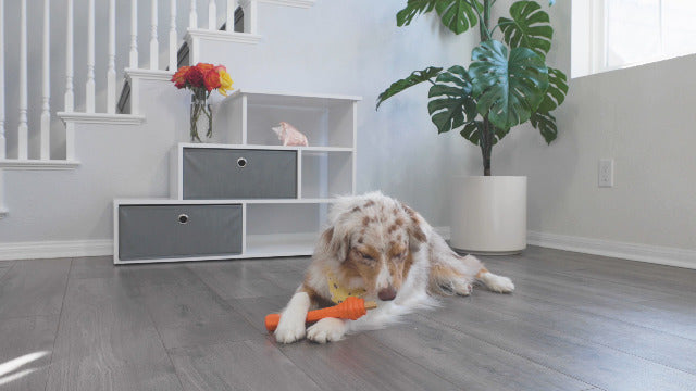 Project Hive Dog Fetch Stick - Sweet Mango Scented, Durable Chew Toy