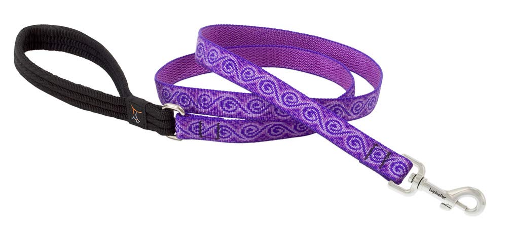 LupinePet Originals Dog Leash, Jelly Roll Pattern, 3/4 Inch x 6 Foot, Padded Handle