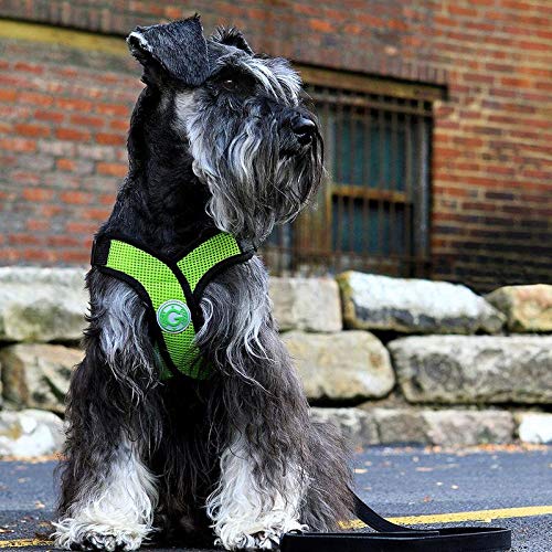 Gooby Comfort X Step-in Harness - Choke Free Small Dog Harness
