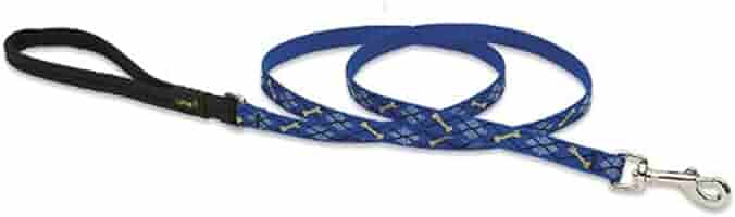 LupinePet Originals 1/2" Dapper Dog Leash - 6 Foot Padded Handle - For Small Pets