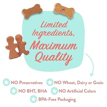 Portland Pet Food Co. Apple Mint Dog Biscuits - Grain & Gluten-Free, 5 oz