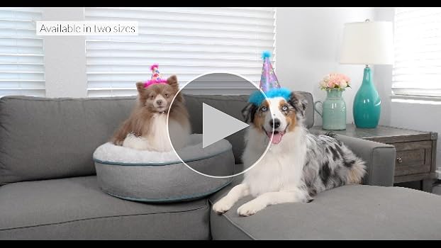 Huxley & Kent Pet Party Crown Hat - Blue, Small - Dog & Cat Birthday Costume with SnugFit Adjustable Straps