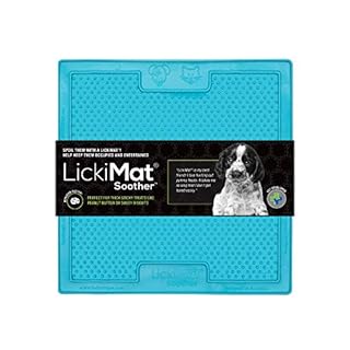 LickiMat Soother - Turquoise - Dog & Cat Slow Feeder & Calming Treat Mat