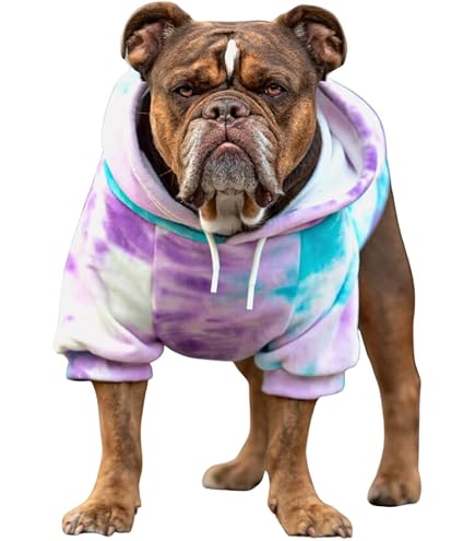 Zack & Zoey Basic Dog Hoodie - Size Small, Nautical Blue - US2101-57 - Poly/Cotton Blend