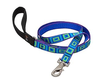 LupinePet Originals 3/4" Sea Glass 6-Foot Dog Leash - Padded Handle, Medium/Large Dogs