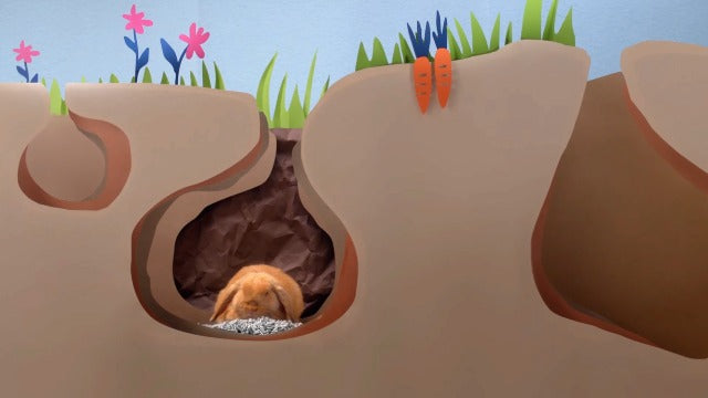 Back 2 Nature Small Animal Bedding & Litter - 15L Bag - Recycled Paper, Odor Control, Low Dust