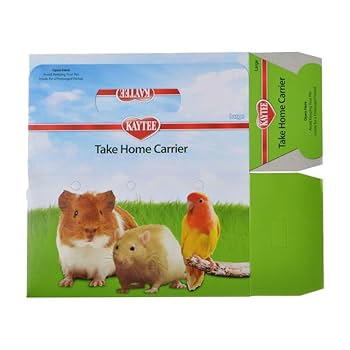 Kaytee Take Home Box Large - Cardboard Carrier for Small Animals