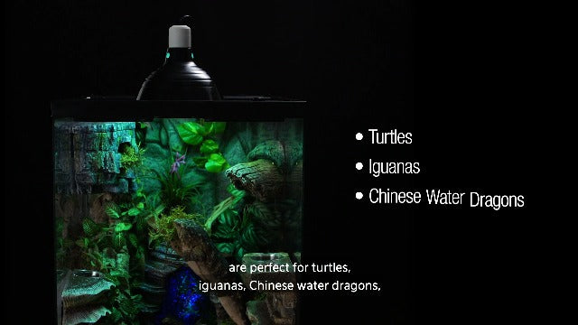 Zilla Tropical 25 UVB Fluorescent Bulb - 13-Watt Coil - Reptile Terrarium Lamp