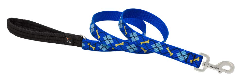 LupinePet Originals 1" Dapper Dog Leash - 6 Foot Padded Handle - Dog Lead