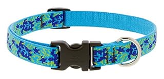 LupinePet Originals 3/4" Turtle Reef Adjustable Dog Collar (9-14")