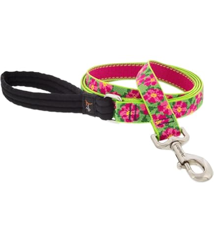 Lupine Ripple Creek Dog Leash 1" x 6' - Durable, Guaranteed (Even if Chewed!)