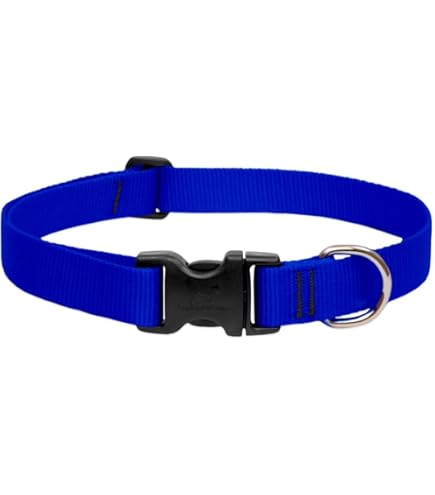 LupinePet Originals 1" Bling Bonz Dog Collar, Adjustable 16-28"